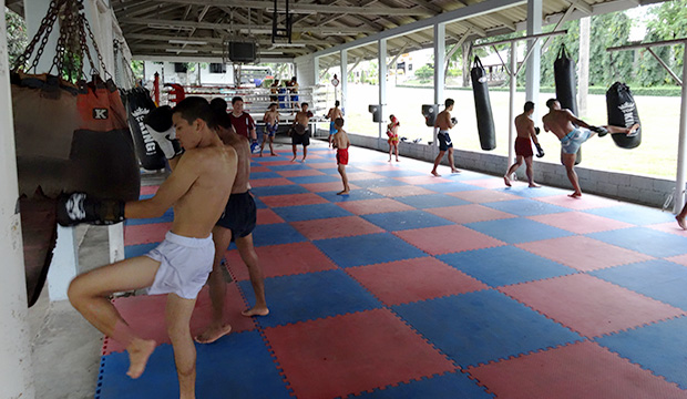 Muay Thai camp