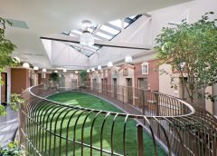 Dog Boarding Centre