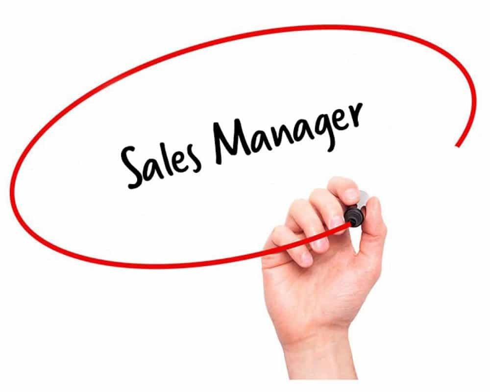 sales-manager-job-description-crucial-skills-necessary-zemsib