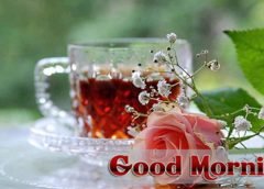Good Morning Quotes and SMS