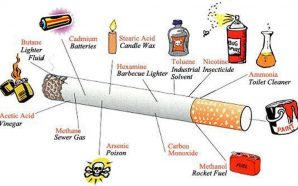 Cigarettes–Harmful effects on the environment