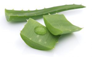 Aloe Rid Options