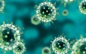 Infectious Germs