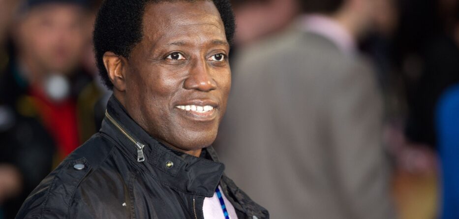 Wesley Snipes Net Worth 2020 – Actor and Martial Artist