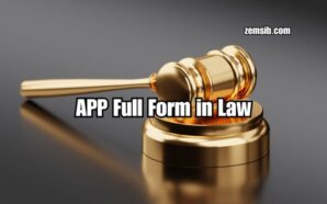 APP Full Form in Law