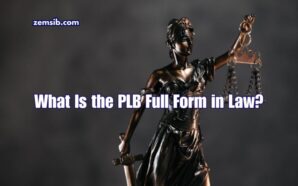 PLB Full Form in Law