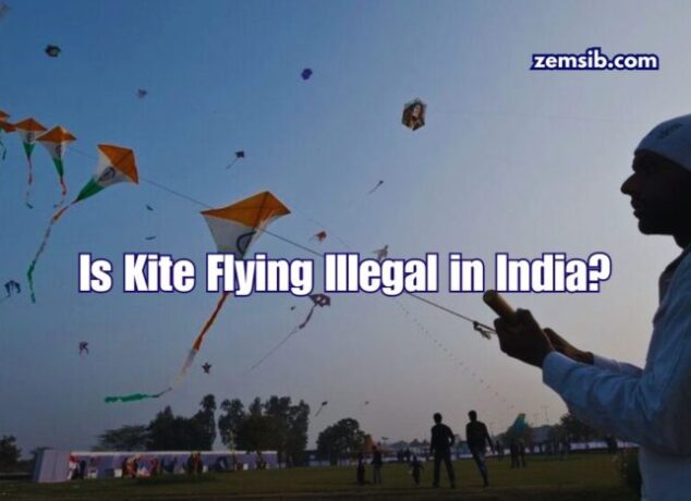 Is Kite Flying Illegal in India?