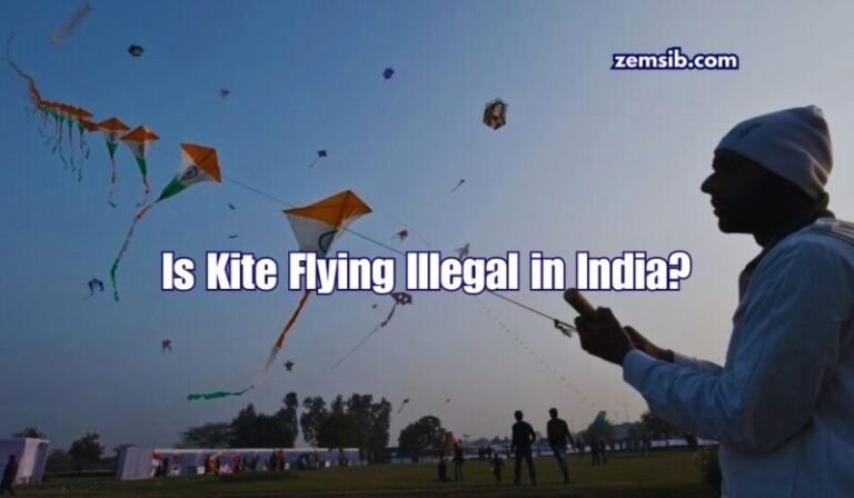 Is Kite Flying Illegal in India? An In-Depth Analysis