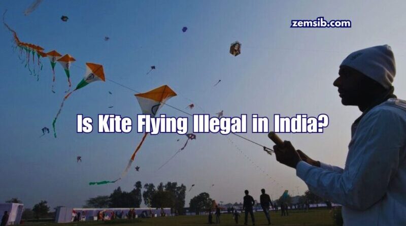 Is Kite Flying Illegal in India?