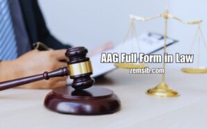 AAG Full Form in Law: Duties and Importance