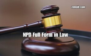 NPD Full Form in Law and Its Legal Implications